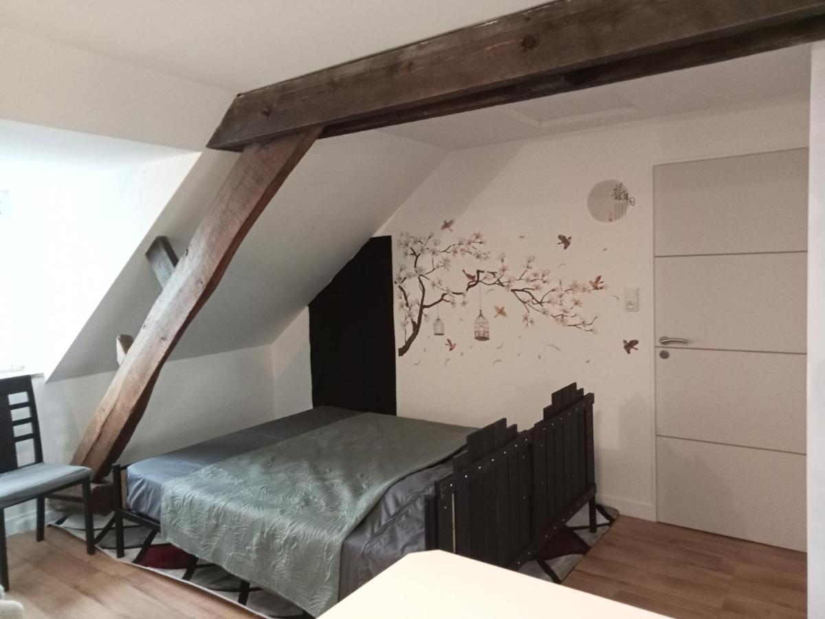 Apartment Colibri